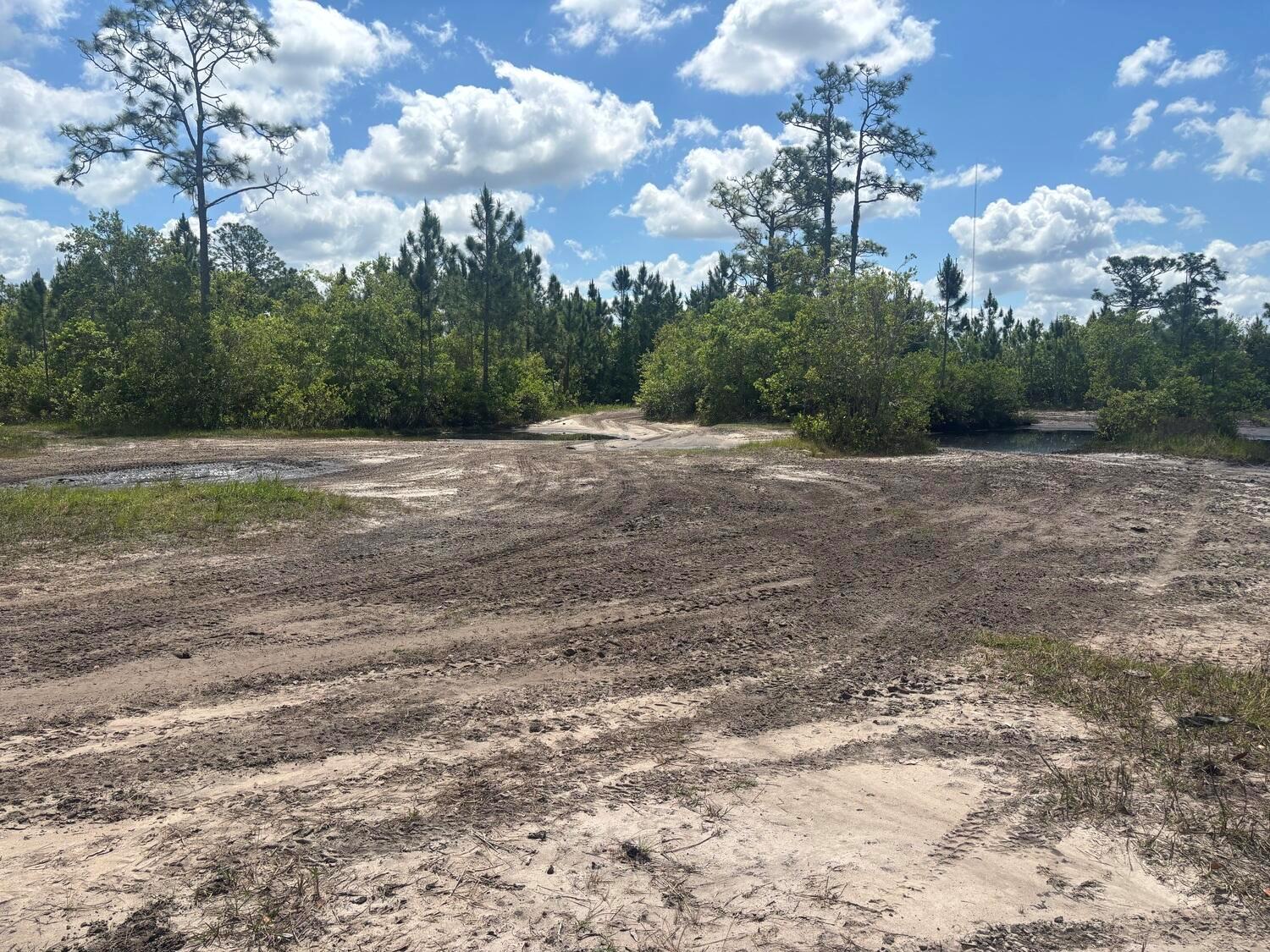 A dirt and sandy clearing with tire tracks, surrounded by trees and small pools — 0 Holopaw Groves Road, FL 34772, FL