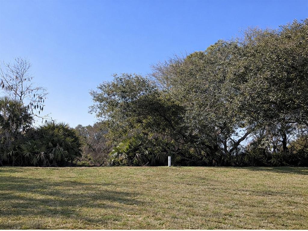 A grassy lot features a small white marker post in front of dense trees — 15296 SW 15TH TERRACE ROAD, OCALA, FL