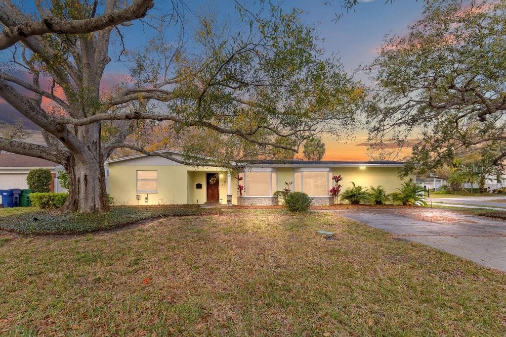 A single-story yellow house with a large oak tree in the front yard at sunset — 201 S SHERRILL STREET, TAMPA, FL