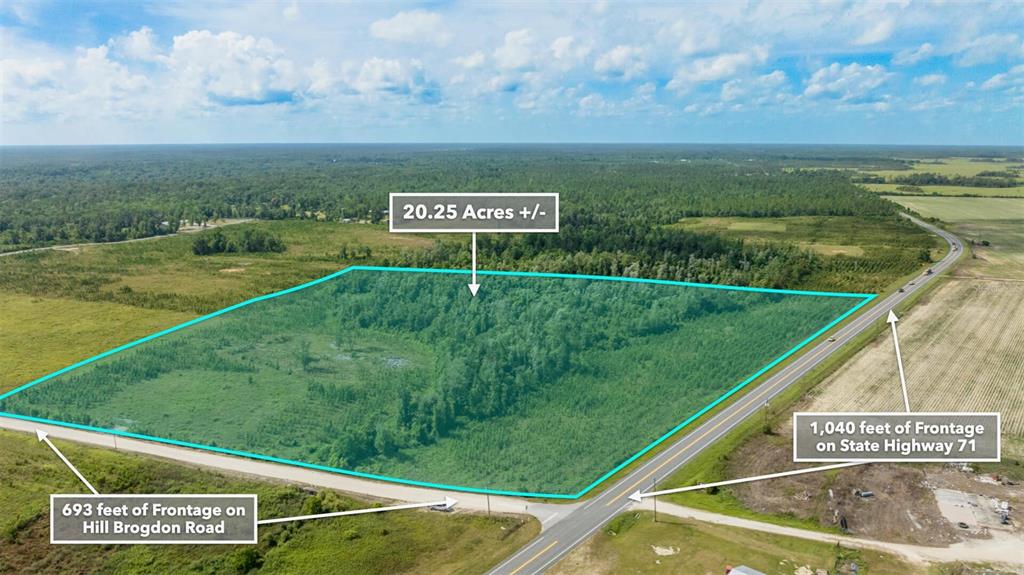 An aerial view shows a 20.25-acre plot of land bordered by two roads — SR 71 S, WEWAHITCHKA, FL