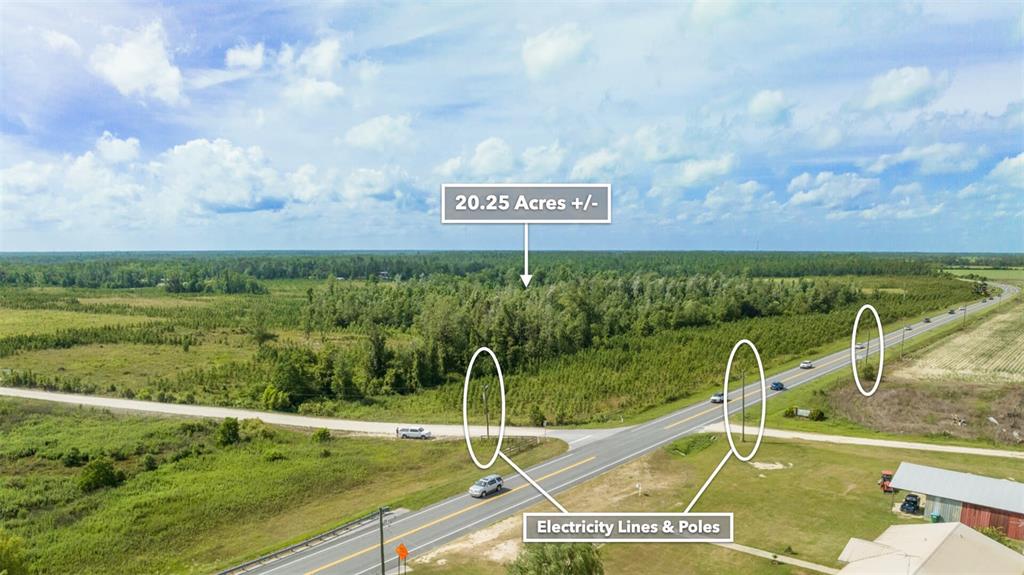 An aerial view shows a large, wooded plot of land adjacent to a paved road — SR 71 S, WEWAHITCHKA, FL