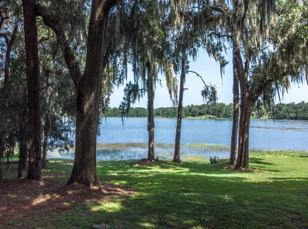 A grassy yard with large trees draped in Spanish moss overlooks a calm lake — TBD LOT 01000 SILVER DRIVE, UMATILLA, FL