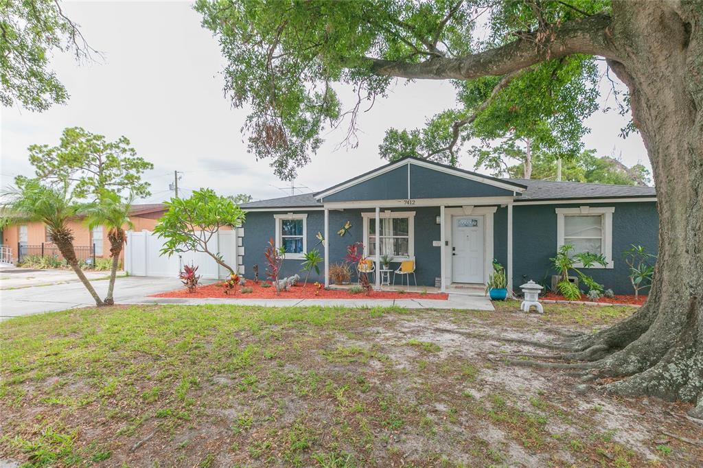 A single-story house with dark blue siding, a white front door, and a large tree — 7412 KINGSTON DRIVE, TAMPA, FL