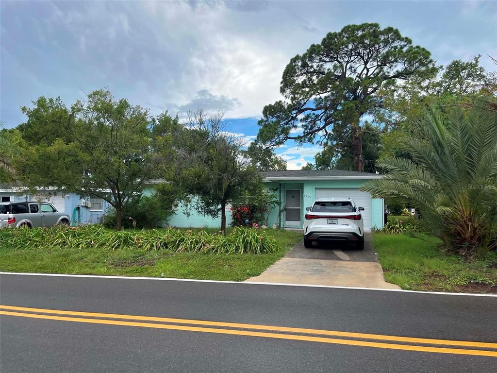 A single-story light green house with a driveway and a large pine tree — 6445 RIVER ROAD, NEW PORT RICHEY, FL