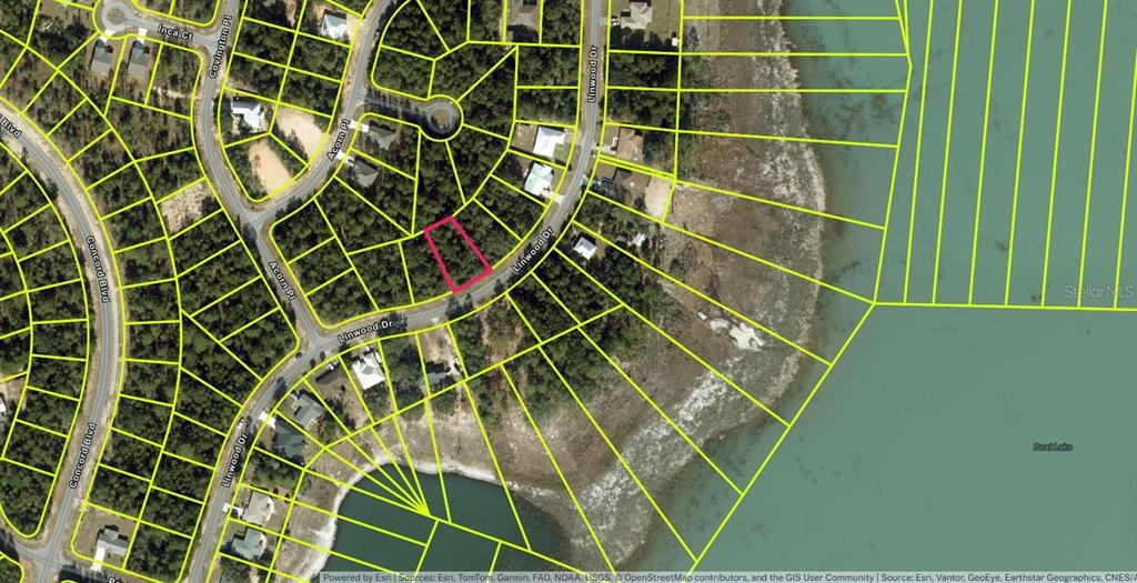 This is a satellite map showing a highlighted residential lot located along Linwood Drive — Lot 23, Unit 19, Blk 1096 LINWOOD DRIVE, CHIPLEY, FL
