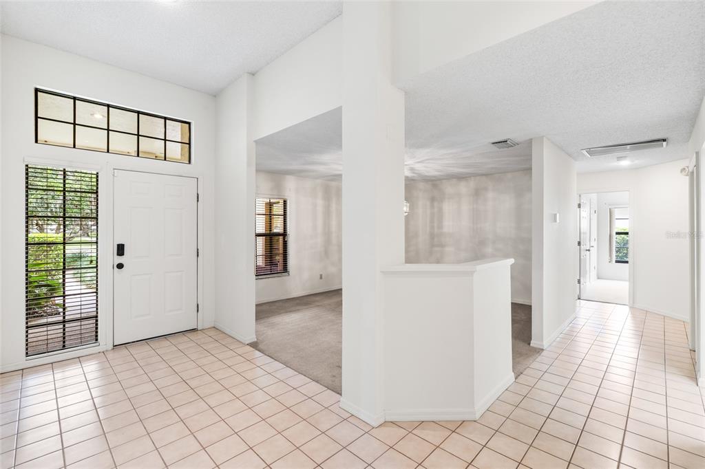 A tiled entryway leads to carpeted living spaces with white walls and a front door — 2555 MASON OAKS DRIVE, VALRICO, FL