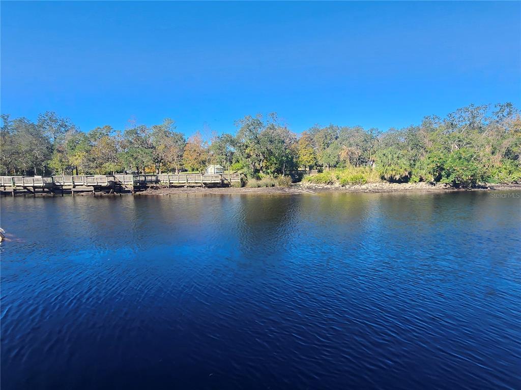 A wooden boardwalk runs along the edge of a riverbank lined with trees — 7224 N OLA AVENUE, TAMPA, FL