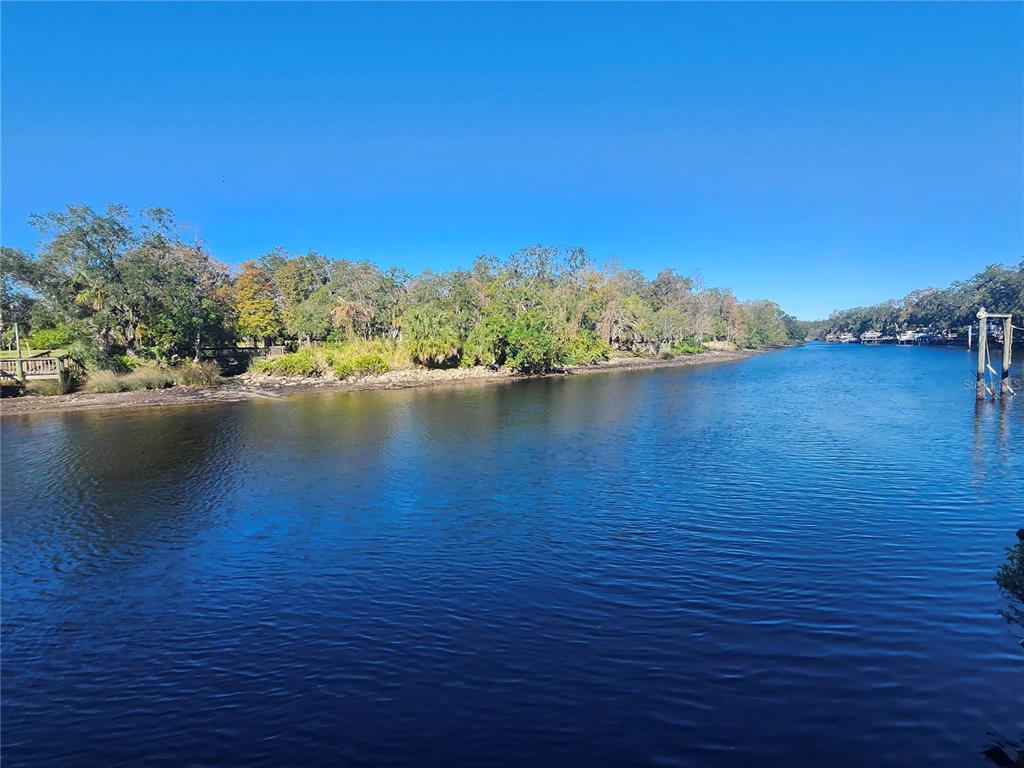A view of a calm river bordered by trees and a wooden dock — 7224 N OLA AVENUE, TAMPA, FL