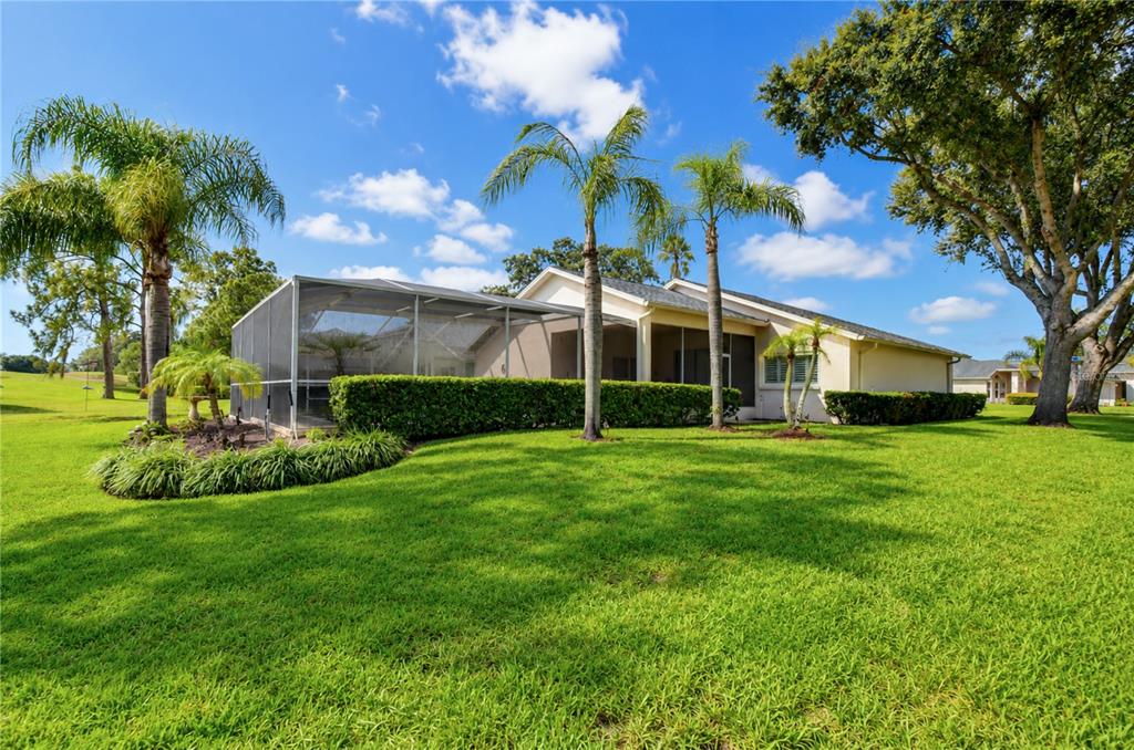 A backyard view of a house with a screened-in pool enclosure and several palm trees — 5602 ROCKFIELD LOOP, VALRICO, FL