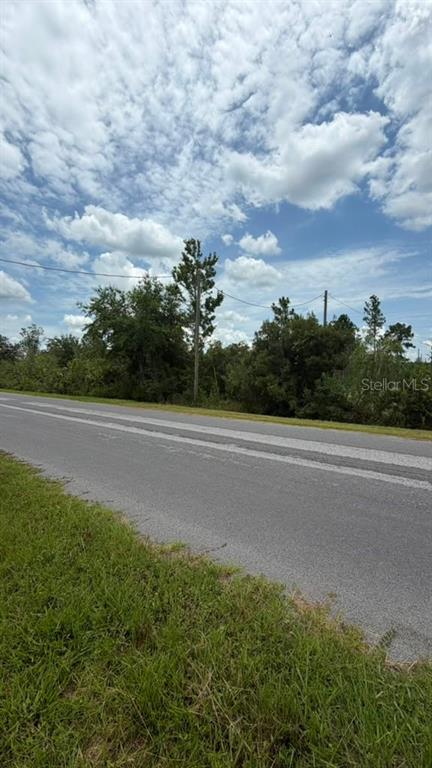 A paved road runs alongside a grassy shoulder with trees and a cloudy sky — 0 NETTLETON STREET, ORLANDO, FL