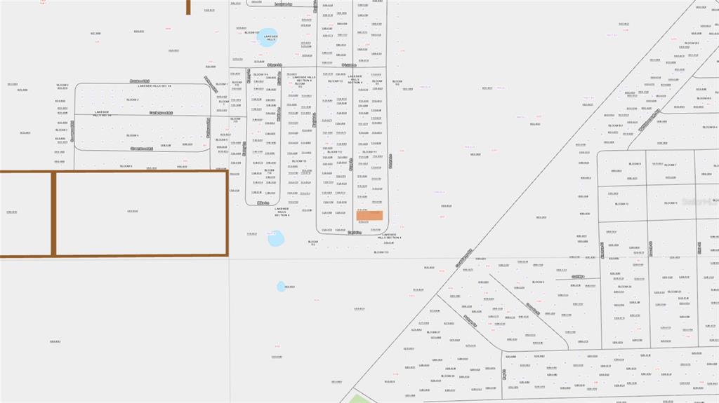This is a land survey map showing property boundaries and lot divisions in a neighborhood — 169 E LURA LANE, FLORAHOME, FL
