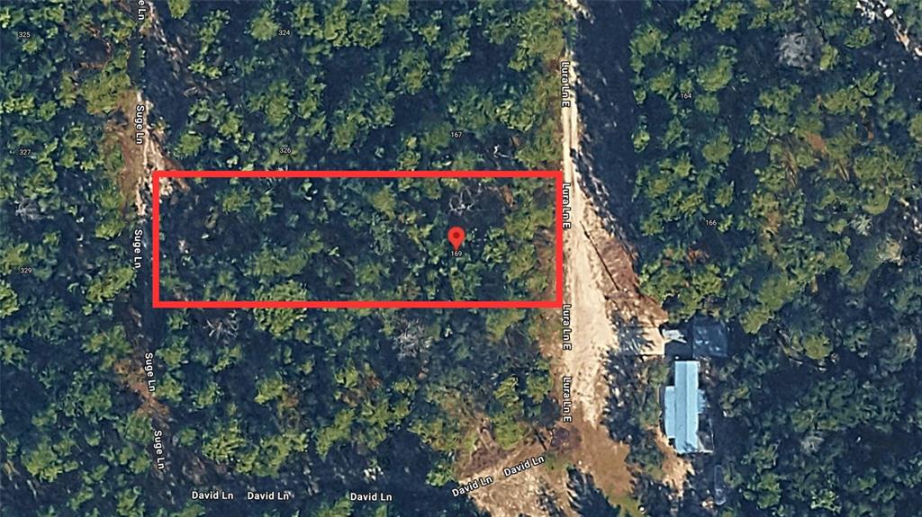An aerial map view shows a rectangular plot of land outlined in red — 169 E LURA LANE, FLORAHOME, FL