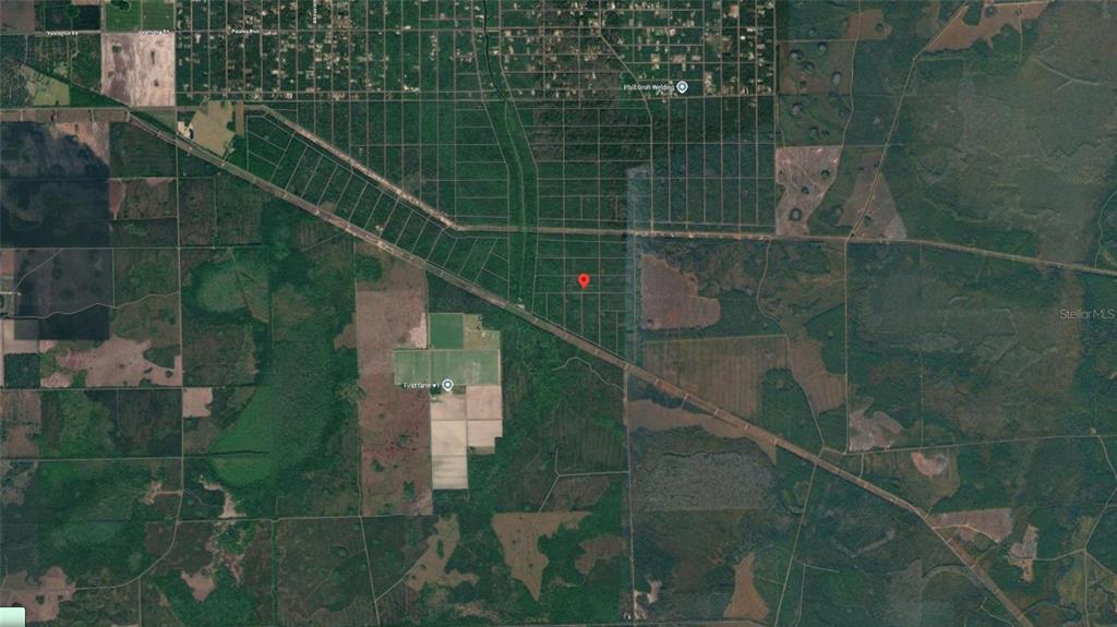 This is an aerial map view showing a red location pin over a wooded lot — 169 E LURA LANE, FLORAHOME, FL