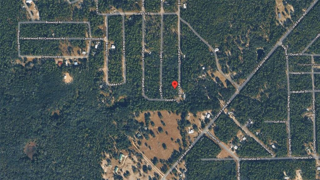 This is a satellite map view showing a red location pin in a wooded area — 169 E LURA LANE, FLORAHOME, FL