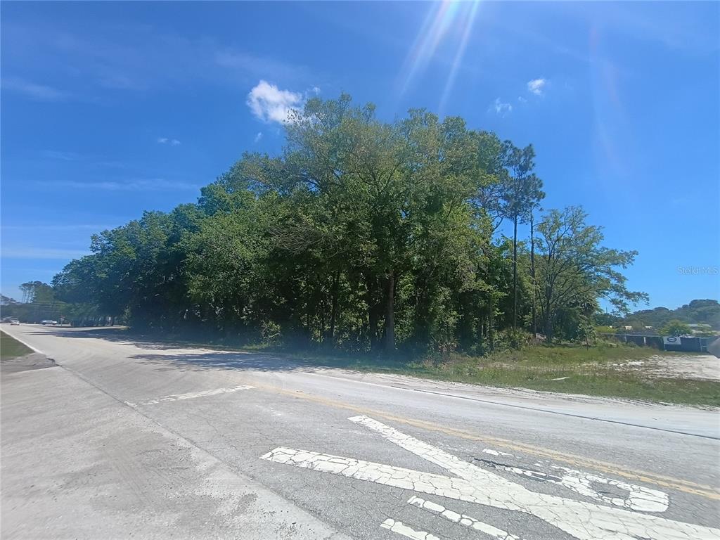 A paved road curves past a dense cluster of trees on a sunny day — 79 CR-304, BUNNELL, FL
