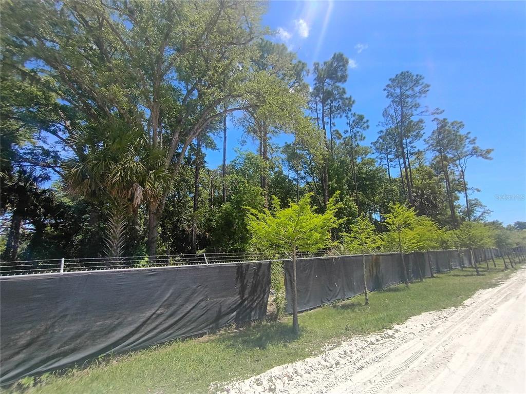 A black construction fence runs along a dirt road in front of a wooded area — 79 CR-304, BUNNELL, FL
