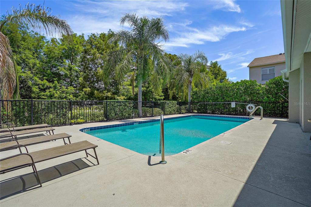 A rectangular swimming pool with lounge chairs on a concrete patio under a blue sky — 5246 NEIL DRIVE, ST PETERSBURG, FL