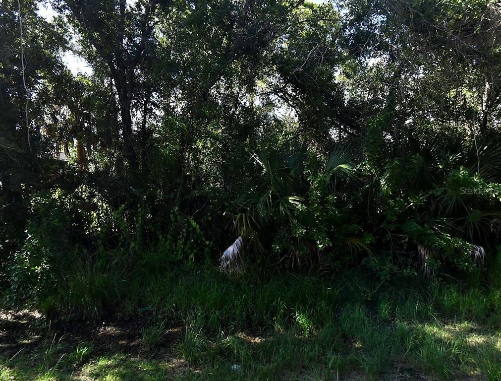 A dense thicket of trees and palmettos grows along the edge of a grassy area — DESCO ROAD, NORTH PORT, FL