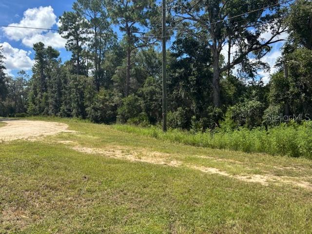 A grassy, unpaved lot features a dirt path leading toward a dense line of trees — 0000 SE 178TH TERRACE, SILVER SPRINGS, FL