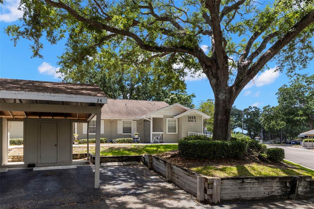 A single-story apartment building with a ramp, a large tree, and a grassy lawn — 1465 OAK HILL DRIVE UNIT 104, DUNEDIN, FL