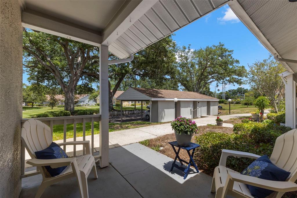A single-story building with a carport and a large tree in the front yard — 1465 OAK HILL DRIVE UNIT 104, DUNEDIN, FL