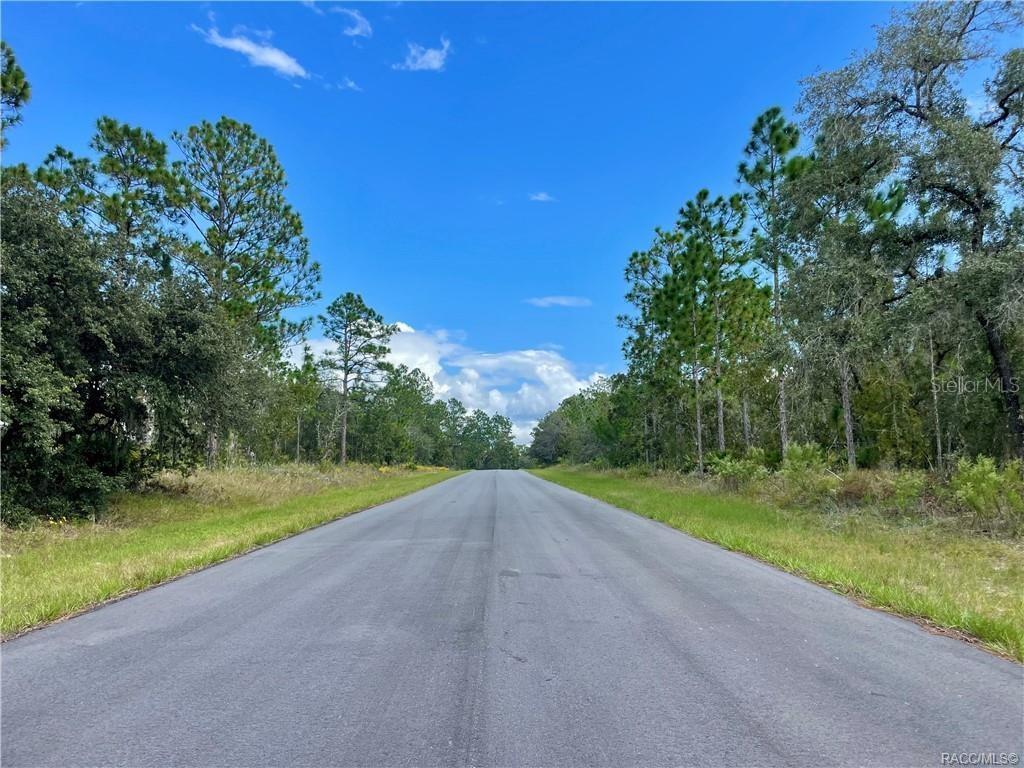 A paved road stretches through a wooded area under a clear blue sky — 2172 W WILMINGTON LOOP, DUNNELLON, FL