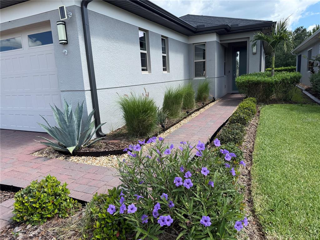 A paved walkway leads to the front entrance of a gray house with landscaping — 3149 SONGBIRD CIRCLE, ST CLOUD, FL