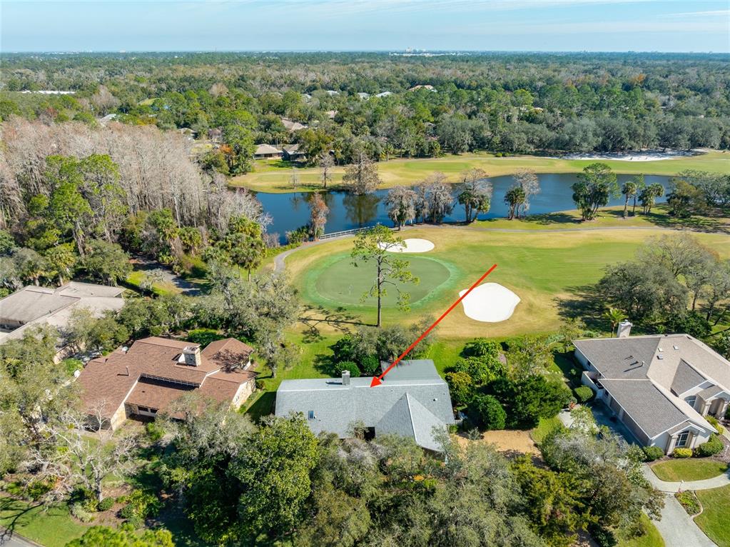 An aerial view shows a house with a gray roof overlooking a golf course — 507 BOXWOOD LANE, NEW SMYRNA BEACH, FL