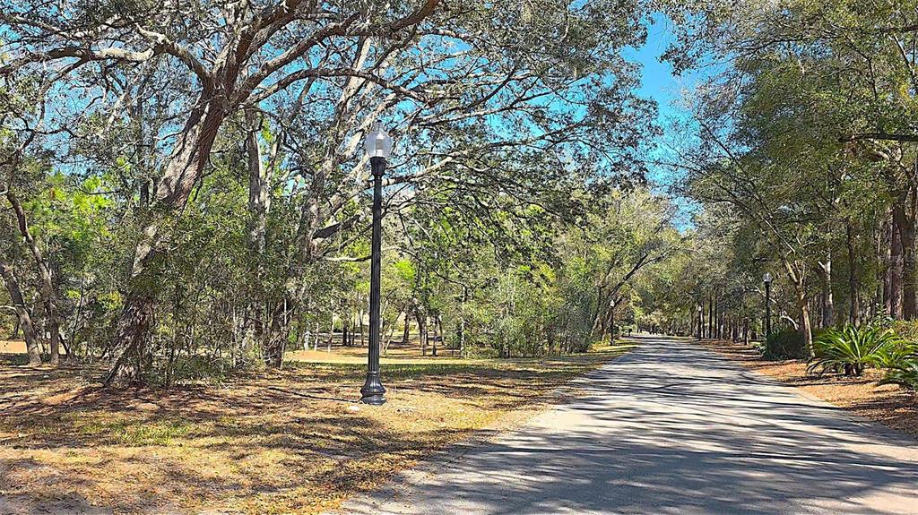 A paved path winds through a wooded area lined with mature trees and street lamps — LINCOLN ROAD, DELAND, FL
