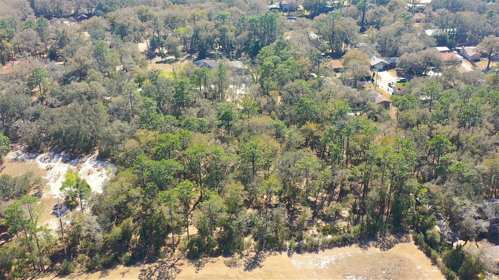 An aerial view of a densely wooded lot with scattered houses in the background — LINCOLN ROAD, DELAND, FL