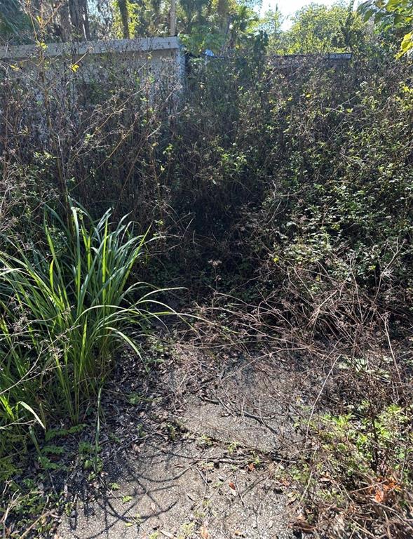 An overgrown path leads toward a small, weathered structure surrounded by dense, wild vegetation — 3110 SE 48TH STREET, OCALA, FL