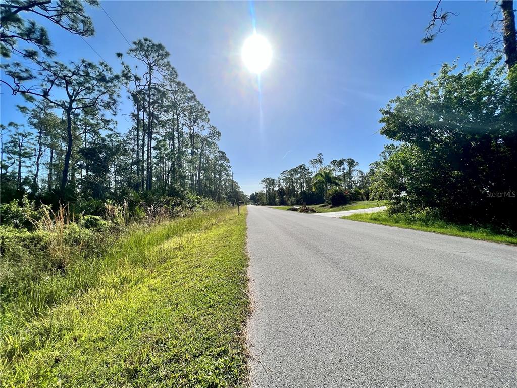 A paved road stretches into the distance, flanked by tall pine trees and grassy shoulders — 12338 CATALINA DRIVE, PUNTA GORDA, FL