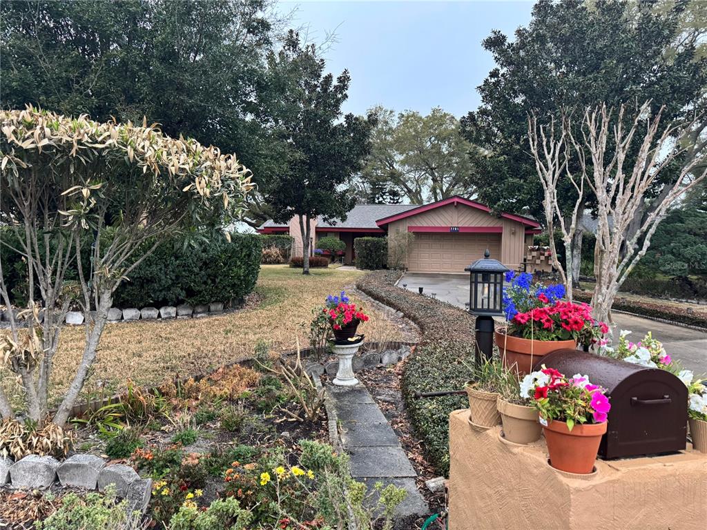7701 CLEMENTINE WAY