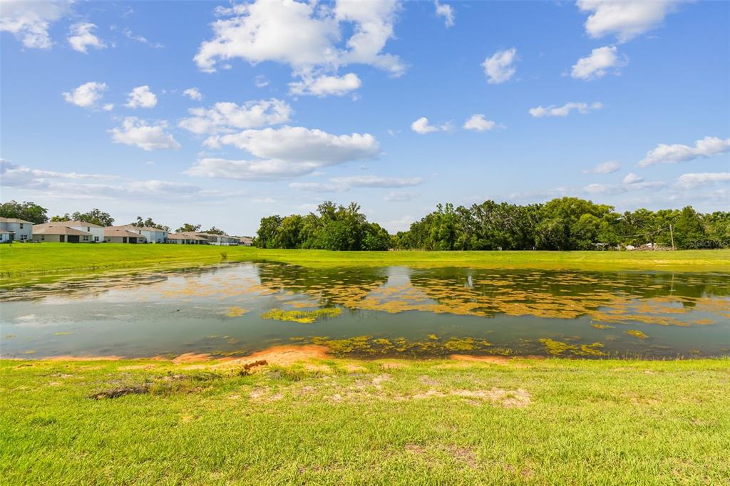 A grassy yard overlooks a pond with patches of algae under a blue sky — 36673 SPANISH ROSE DRIVE, DADE CITY, FL