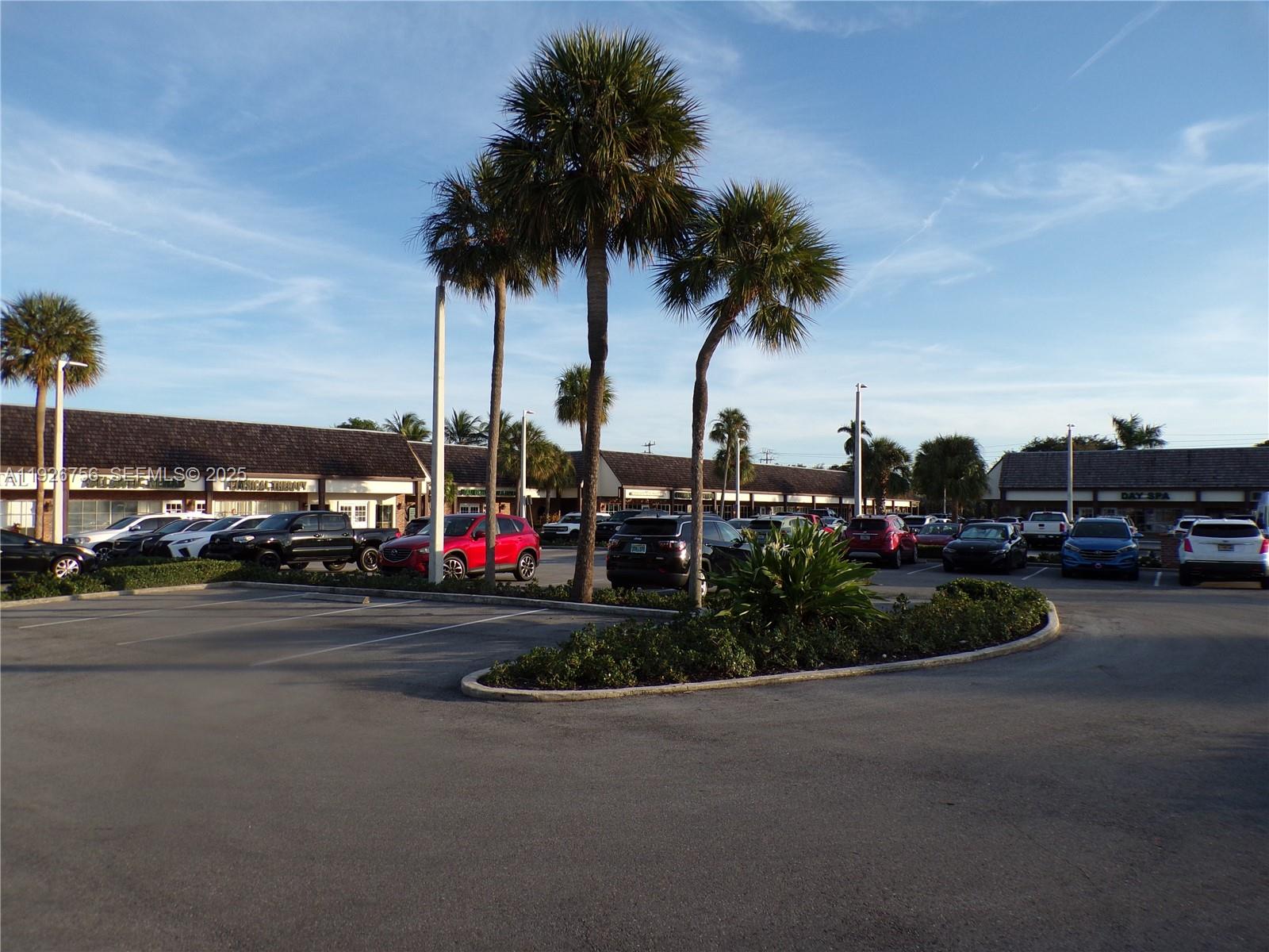A parking lot with palm trees and a strip mall in the background — 5030 N Federal Hwy, Lighthouse Point FL 33064, LIGHTHOUSE POINT, FL
