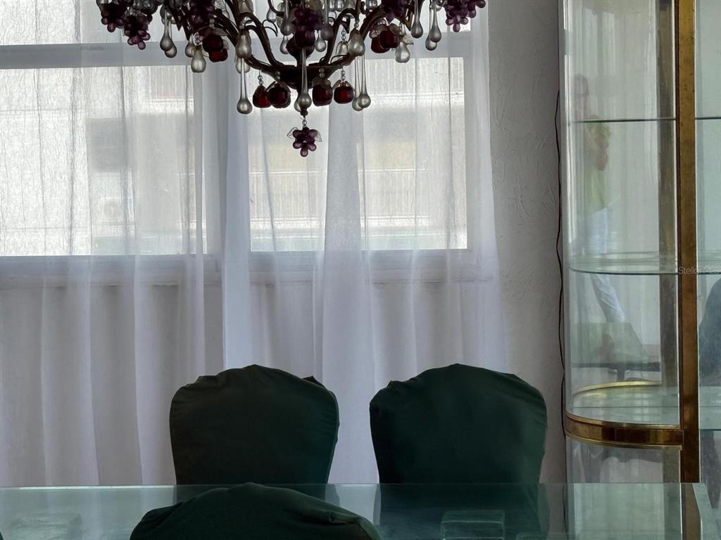 A dining area features a grape-themed chandelier, green slipcovered chairs, and a glass display cabinet — 6400 ISLA VERDE AVENUE UNIT 5D, CAROLINA, PR