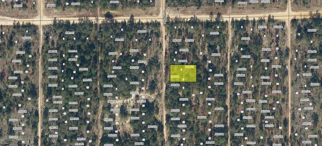 SW 55TH AVENUE