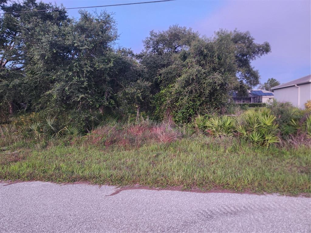 A vacant, overgrown residential lot with trees and shrubs sits beside a paved road — 2164 PEASLEY STREET, PORT CHARLOTTE, FL