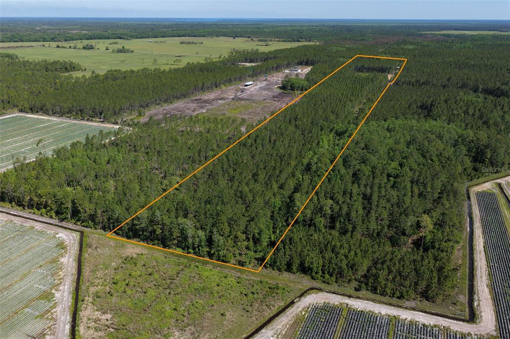 15539 COUNTY RD 305, BUNNELL, FL — photo 2 of 30