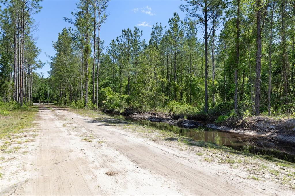 15539 COUNTY RD 305, BUNNELL, FL — photo 3 of 30