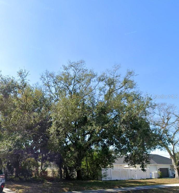 A large tree stands in front of a white fence and a residential house — 000 16TH AVENUE N, ST PETERSBURG, FL