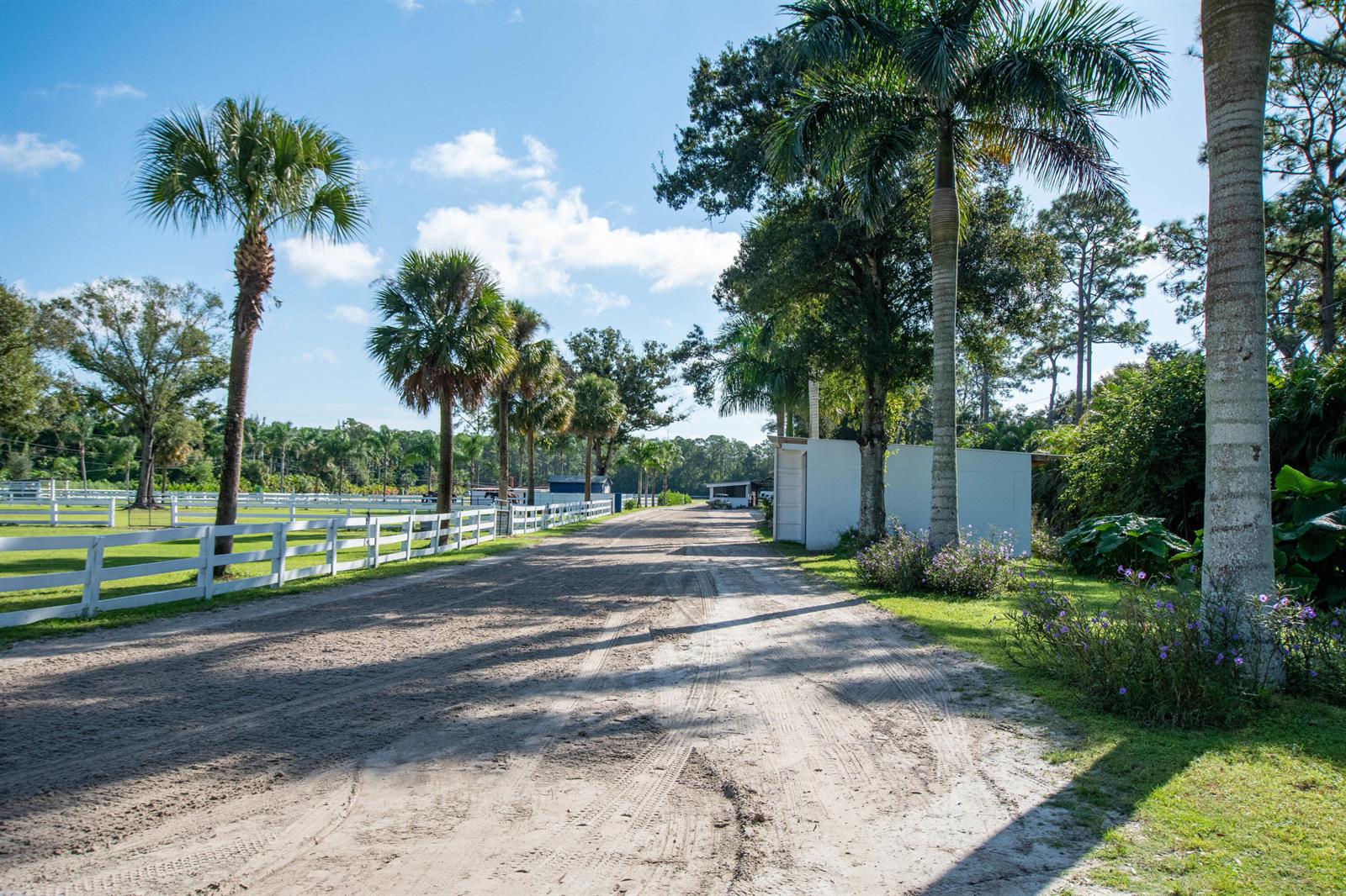A dirt driveway leads past a white fence and palm trees toward a small building — 1044 D Road, FL 33470, FL