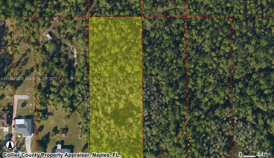 This is an aerial map showing a rectangular, wooded parcel of land highlighted in yellow — Golden Gate Estates Unit 73, Naples FL 34120, NAPLES, FL
