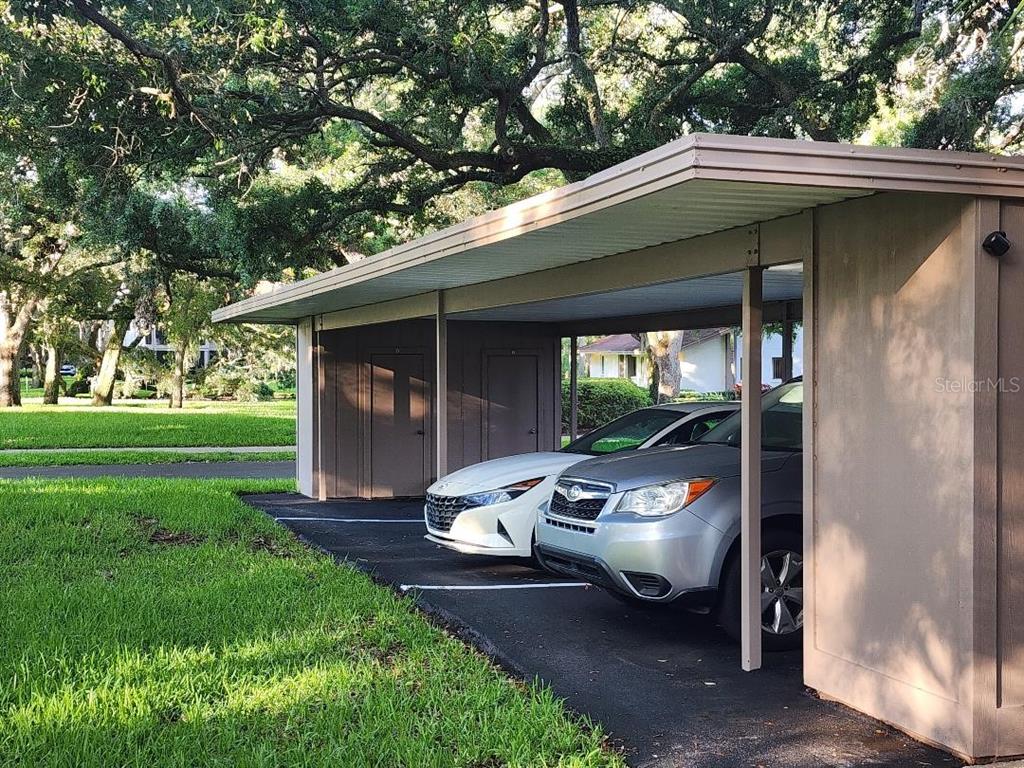 A covered carport with two parked cars and attached storage units sits on a lawn — 603 BALDWIN AVENUE UNIT B, SAFETY HARBOR, FL