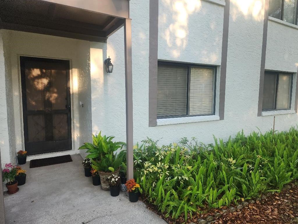 A white stucco building exterior features a covered entryway with potted plants and two windows — 603 BALDWIN AVENUE UNIT B, SAFETY HARBOR, FL
