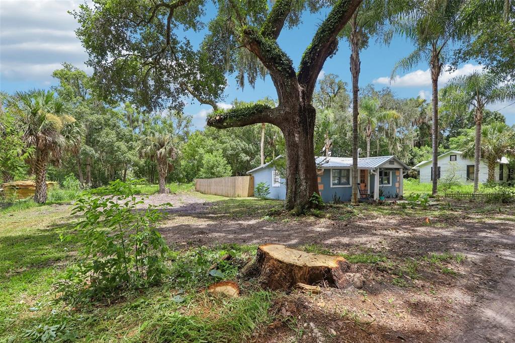 A large tree stump sits in the foreground of a yard with a small house — 521 S 9TH STREET, CRESCENT CITY, FL
