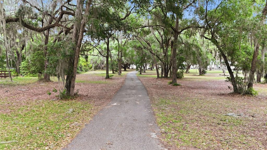 A paved path winds through a grassy area shaded by large, moss-draped oak trees — 10639 SE SUNSET HARBOR ROAD, SUMMERFIELD, FL