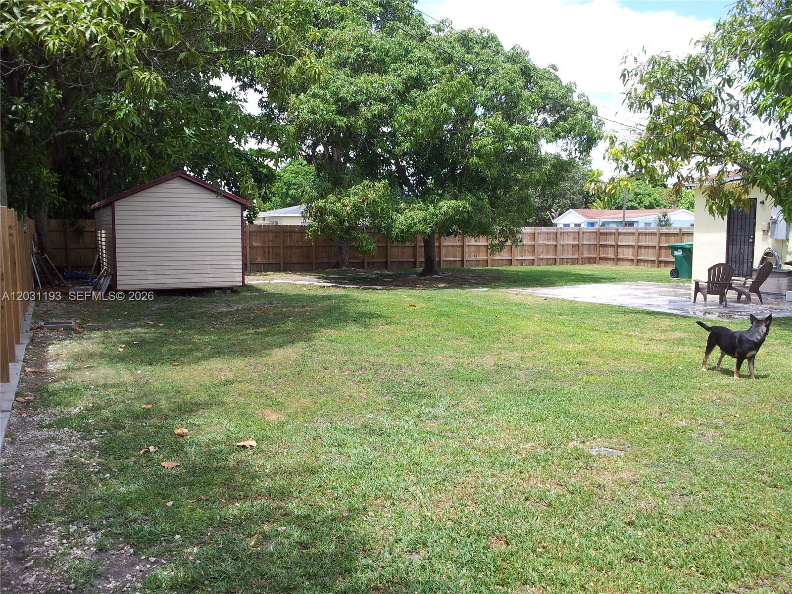 A backyard features a storage shed, a large tree, a wooden fence, and a dog — MIAMI, FL