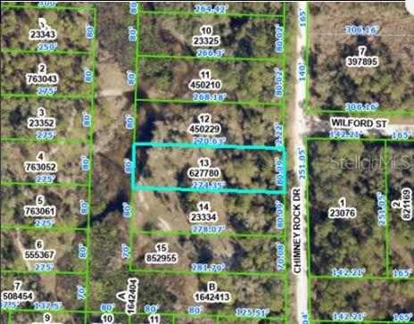 CHIMNEY ROCK DRIVE, WEBSTER, FL — photo 2 of 6