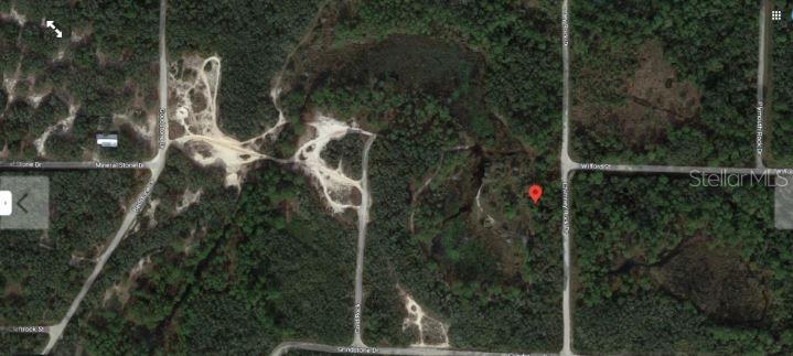 CHIMNEY ROCK DRIVE, WEBSTER, FL — photo 4 of 6